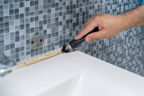 Best Local Mold Removal Service  in Moriches, NY