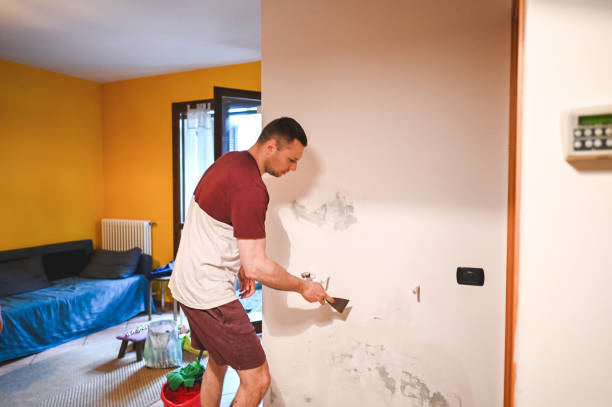 Mold Testing and Removal in Moriches, NY